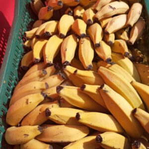 BANANA CATURRA KG