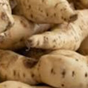 BATATA DOCE BRANCA KG