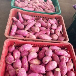 BATATA DOCE ROSA KG
