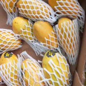 MAMÃO PAPAYA KG