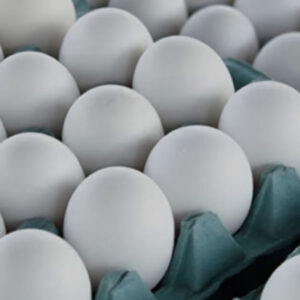 OVOS BRANCOS BANDEJA C/20