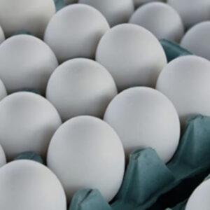 OVOS BRANCOS BANDEJA C/30
